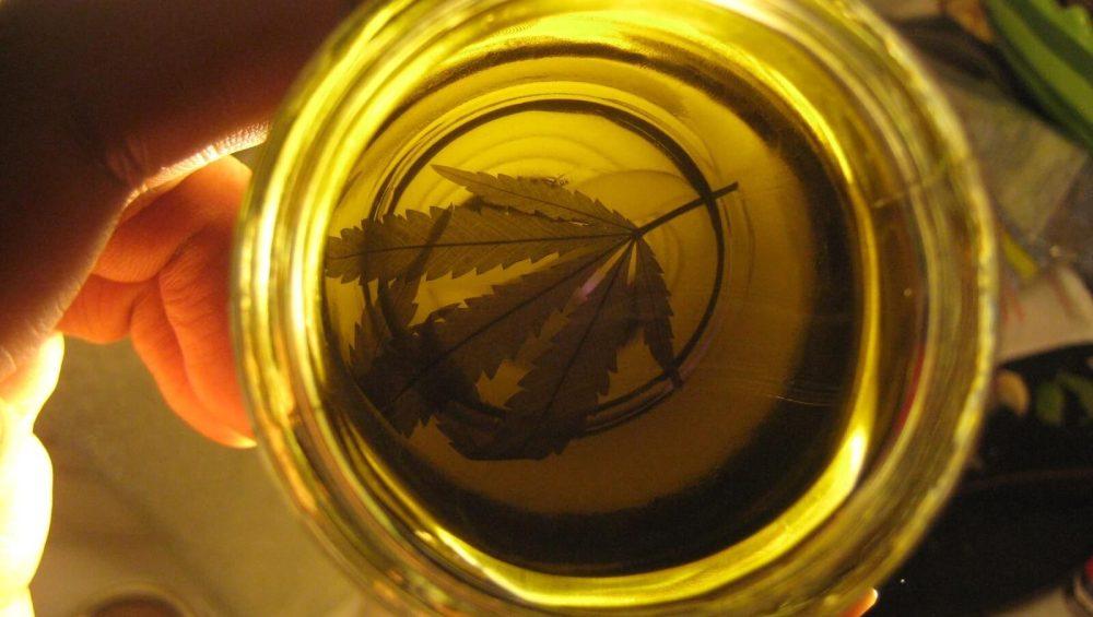 Unlock the magic of homemade cannabis-infused olive oil. Discover the potential of this infusion to take your recipes to new heights!