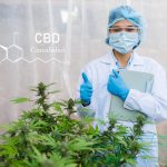 Unveil CBD Cause: Navigate drug tests, risks, and facts with Kynd. THC-free solutions for reliable results and informed decisions. CBD in UK!