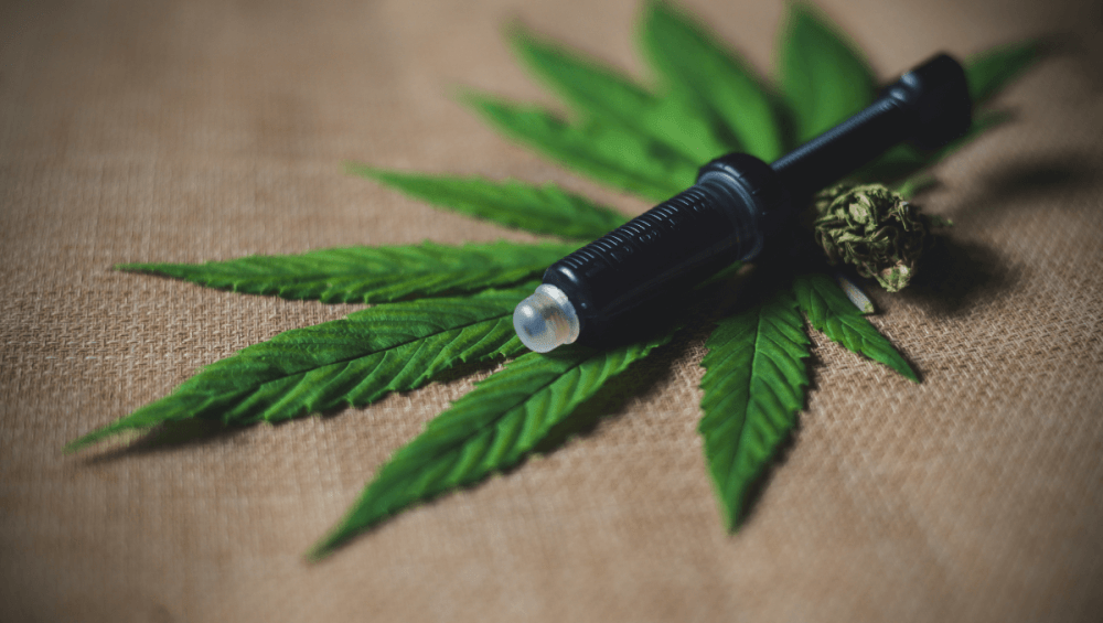 Discover the potency of Organic Full Spectrum CBD Hemp Paste in UK. Explore benefits and usage tips for the finest CBD paste online in UK!