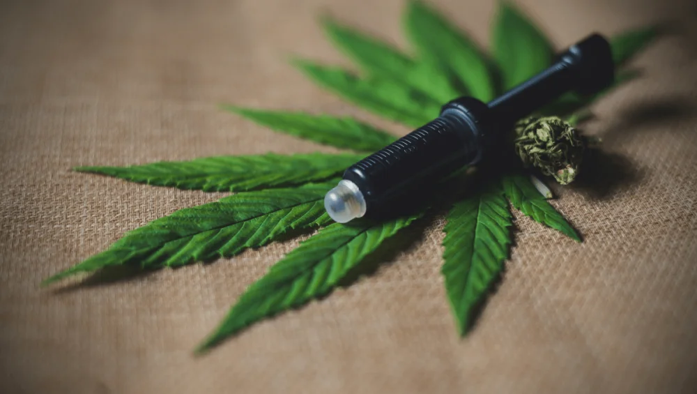 Discover the potency of Organic Full Spectrum CBD Hemp Paste in UK. Explore benefits and usage tips for the finest CBD paste online in UK!