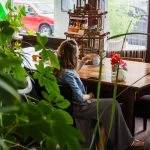 Explore natural stress relief with homeopathic herbs. Find tranquillity with our guide to the best CBD products in UK for ultimate relaxation - Kynd Medical