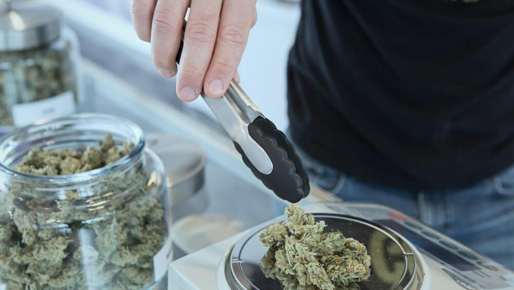Explore the types of UK medical cannabis strains for specific conditions. Learn about Sativa vs Indica for effective relief. - Kynd Medical